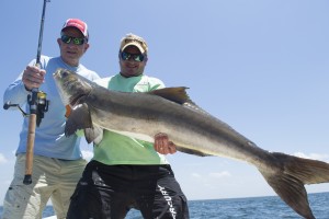 Summer time cobia