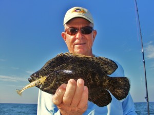 Beach tripletail caught on crab trap  markers