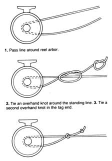 arborknot