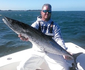 kingfish brad