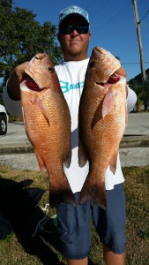 mangrove snapper