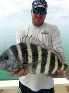 sheepshead and Billy